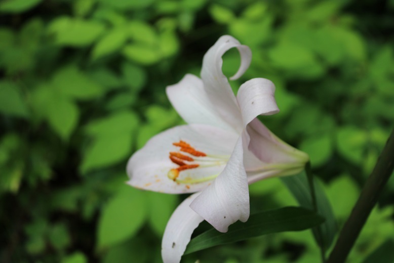IMG_1449.jpgブログ用.jpg