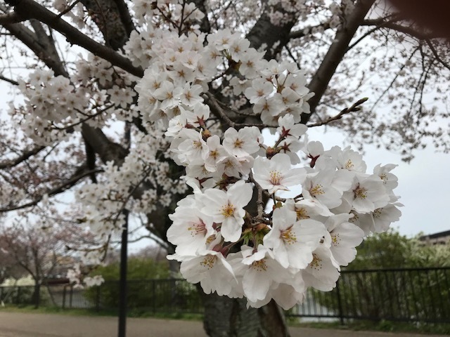 2020-03-28T00:13:46.jpg