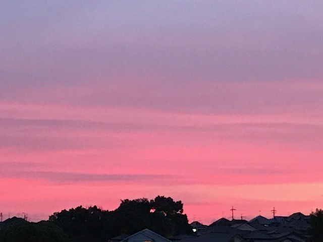 2020-06-03T23:17:08.jpg