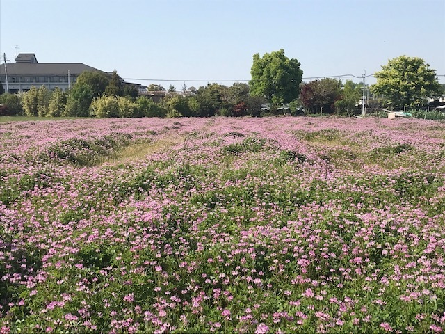 2021-04-22T21:39:02.jpg