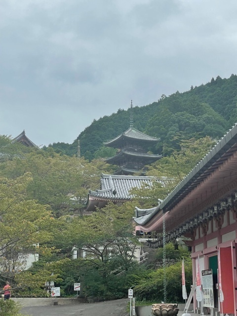 2021-09-20T16:50:10.jpg