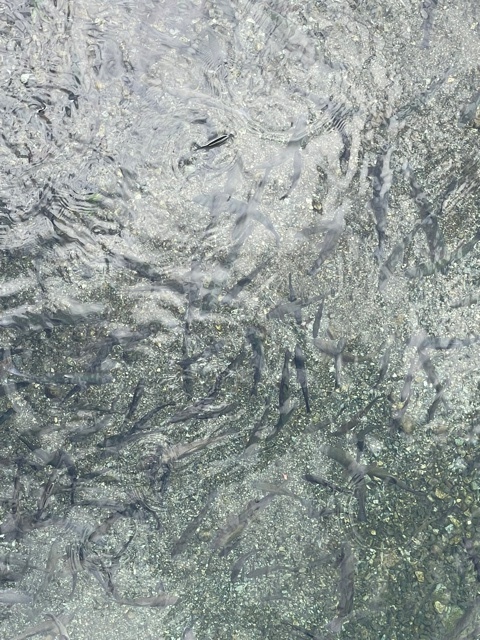 2021-10-31T16:45:20.jpg
