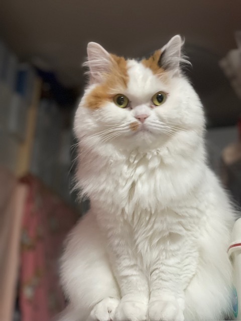 2022-12-16T21:23:17.jpg