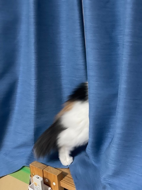 2022-12-16T21:23:17.jpg