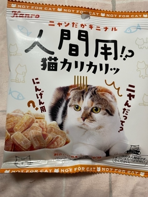 2023-02-14T21:47:52.jpg