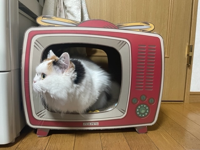 2023-10-22T23:00:46.jpg