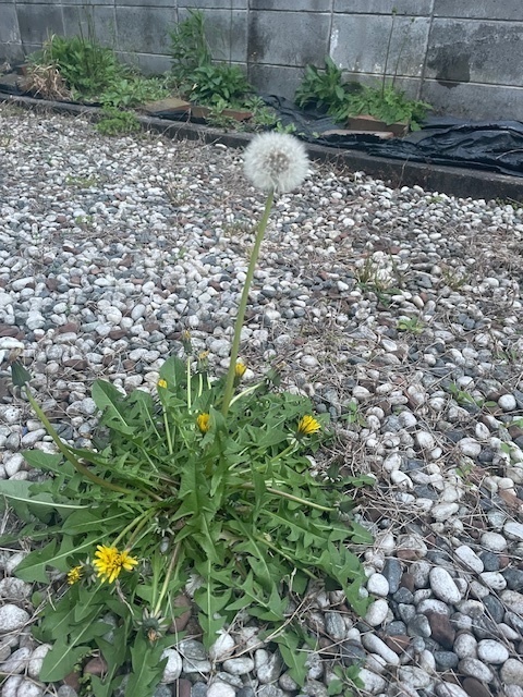 2024-04-11T22:46:59.jpg