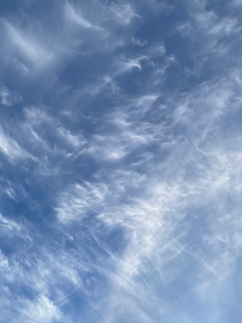 2024-07-22T22:49:54.jpg