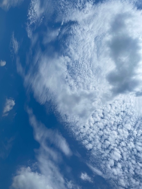 2024-07-22T22:49:54.jpg