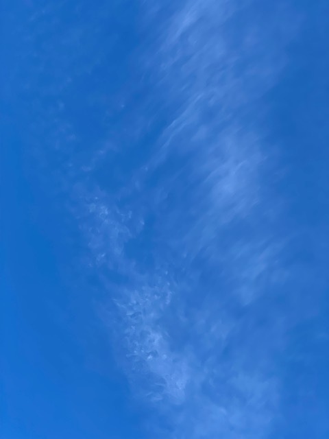 2024-07-28T22:42:03.jpg