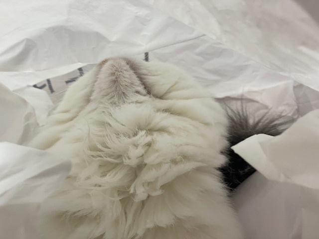 2024-08-18T20:45:04.jpg