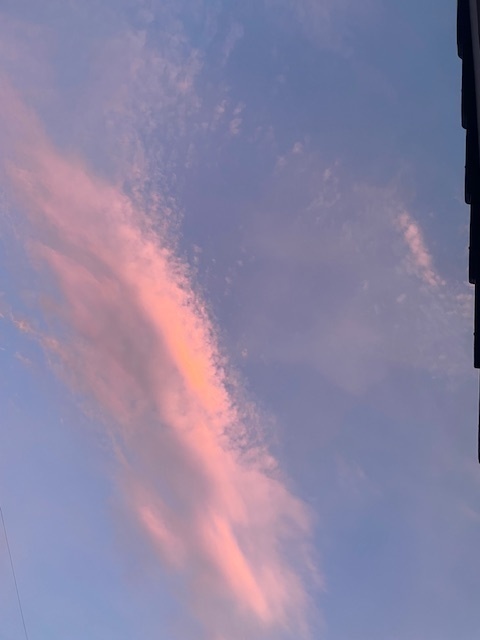 2024-09-19T23:21:13.jpg